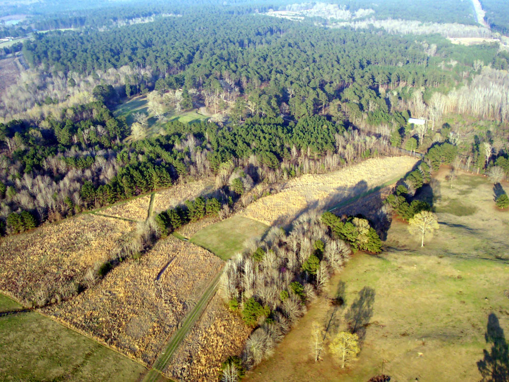 aerial photo of the view looking northeast across Los Adaes