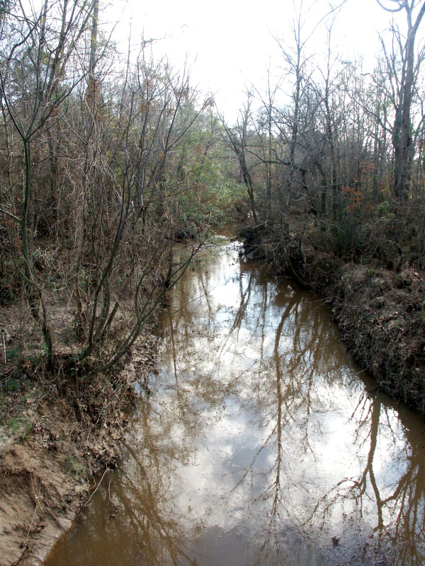 photo of Young's Bayou where it crosses highway LA-6 between Robeline and Natchitoches