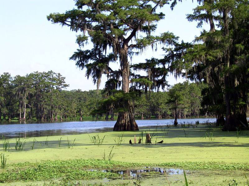 photo of Smithport Lake