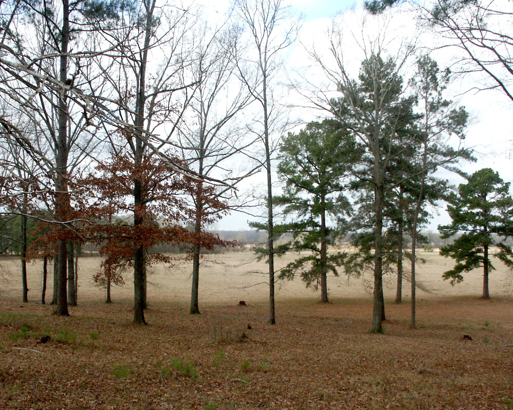 photo of the Spanish-Lake-Lowlands