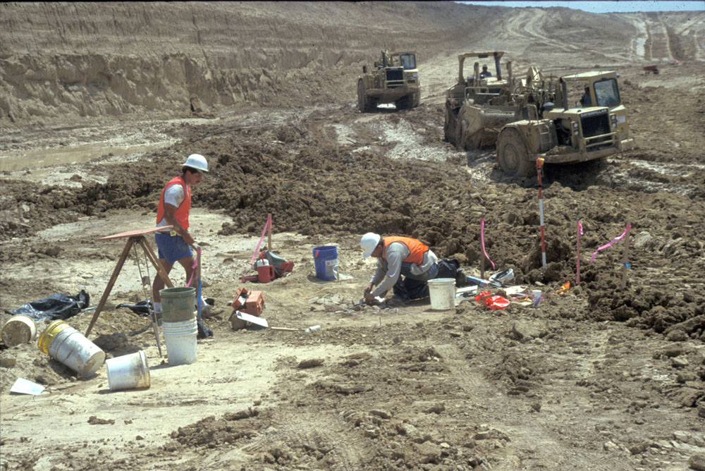 photo of the excavation