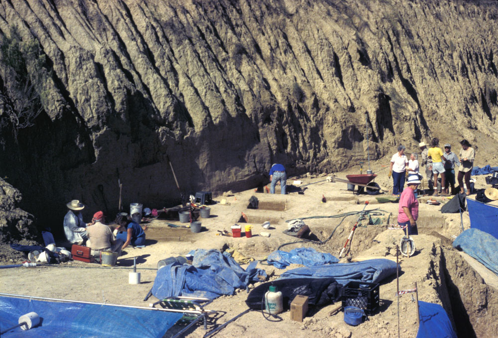 photo of the excavation