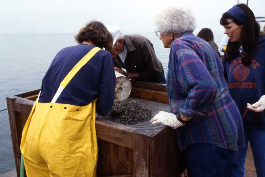 photo of excavators screening