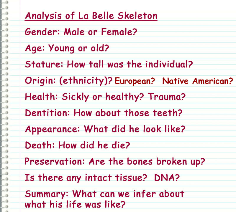 Analysis of La Belle Skeleton
Gender: Male or Female?
Age: Young or old?
Stature: How tall was the individual?
Origin: (ethnicity)?
Health: Sickly or healthy? Trauma?
Dentition: How about those teeth?
Appearance: What did he look like?
Death: How did he die?
Preservation: Are the bones broken up?
Is there any intact tissue?  DNA?
Summary: What can we infer about
     what his life was like?

