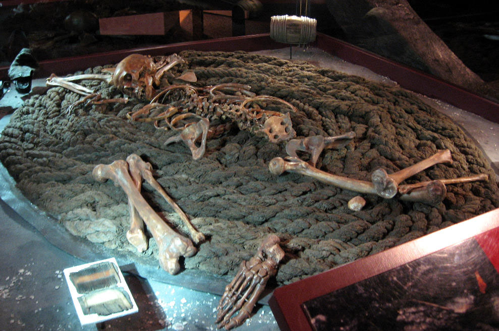 photo of a display at the Bob Bullock State History Museum