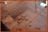 Looking down into main excavation block, 1984.  Several mammoth bones from Bone Bed 1, Stratum H-1 are exposed.  Photograph by Herb Eling..