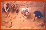 Overhead shot of main block, 1984.  Visiting archeologists (Dave Dibble with gray hair) discuss Stratum H-1 mammoth and horse bones.  Photo by Jack Skiles.