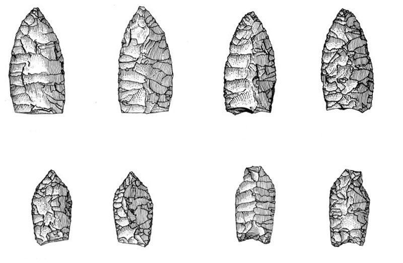 Drawings of Bone Bed 2 projectile points by Hal Story. Upper two specimens are possibly Clovis point fragments identified by Michael Collins.