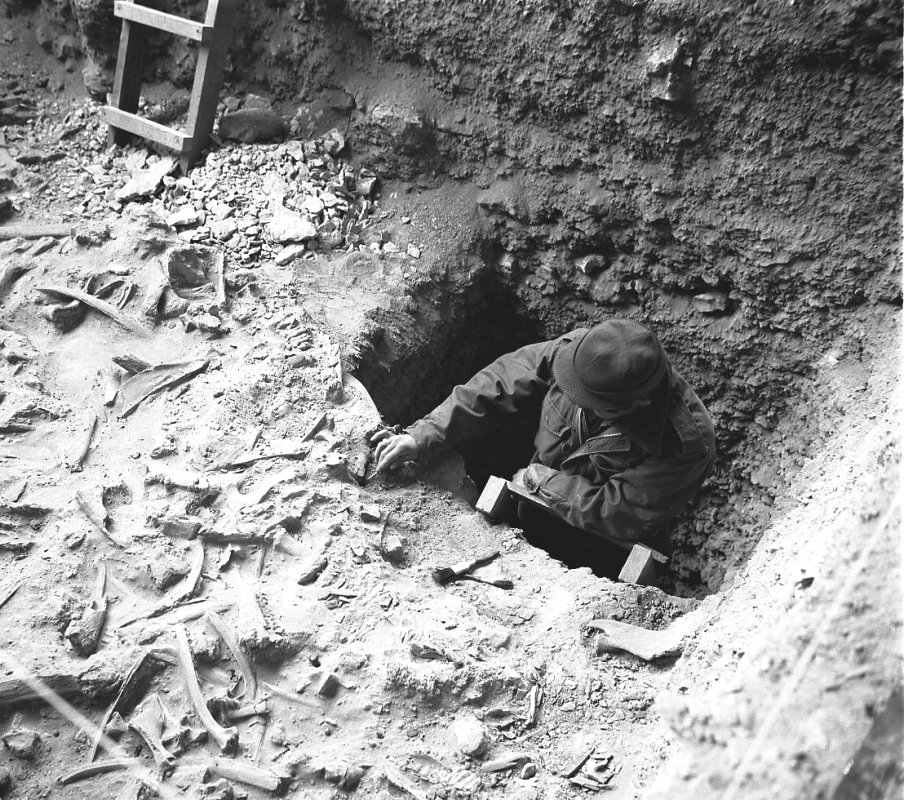 Crew member exposes bone in Bone Bed 2. Photo by Dave Dibble.