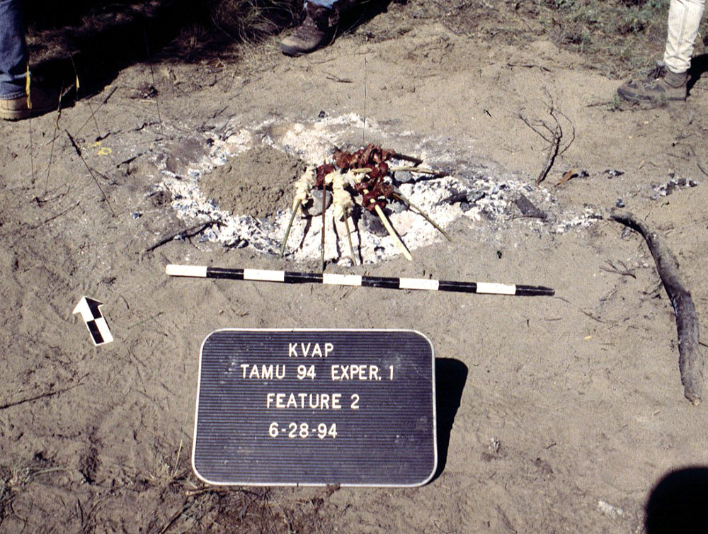 photo of fish and meat being grilled on a hearth