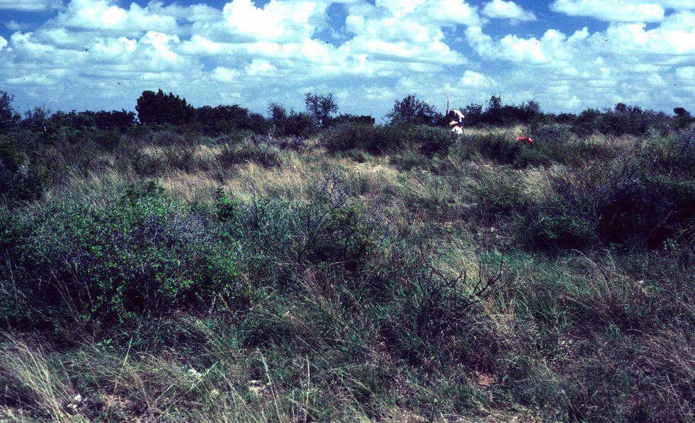 photo of Darrell Creel and W. Chesser recording the cairn feature at site 41CC237