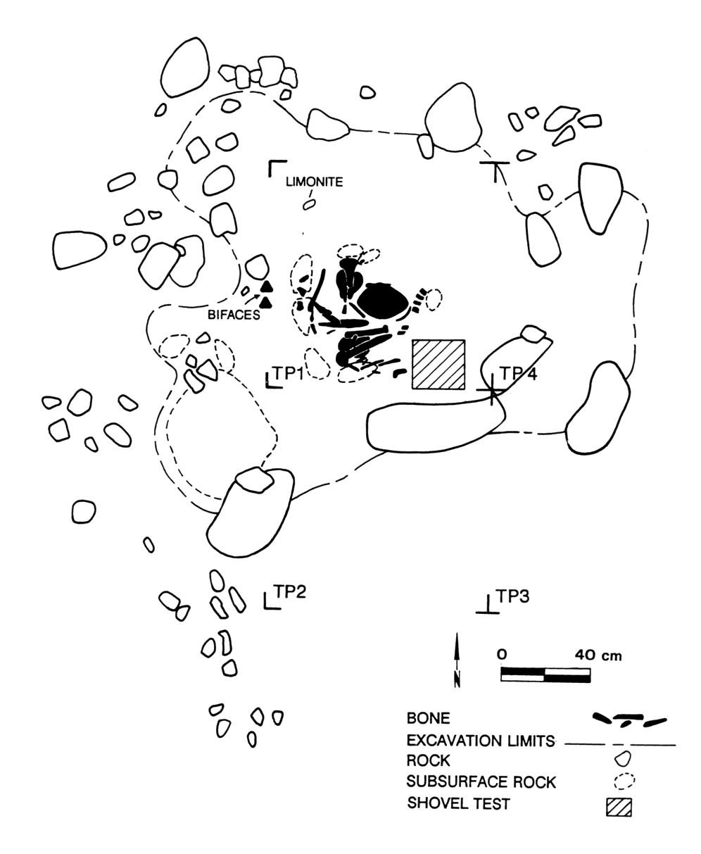 Planview of burial cairn (Feature 1) at 41CC237