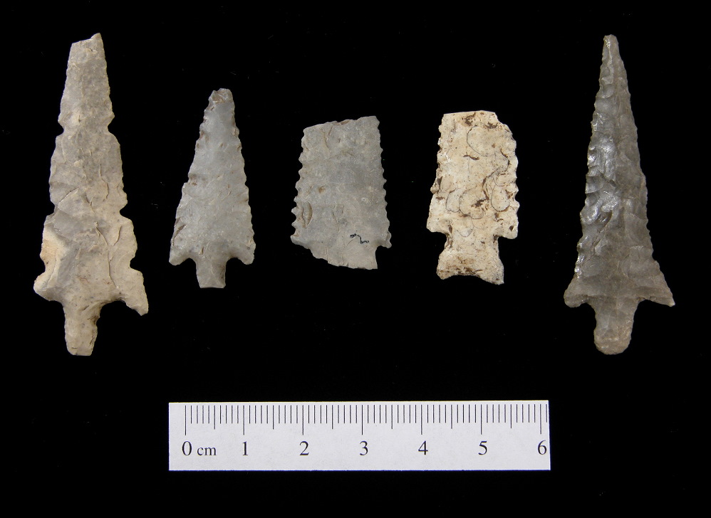 photo of arrow points recovered from 41TA60