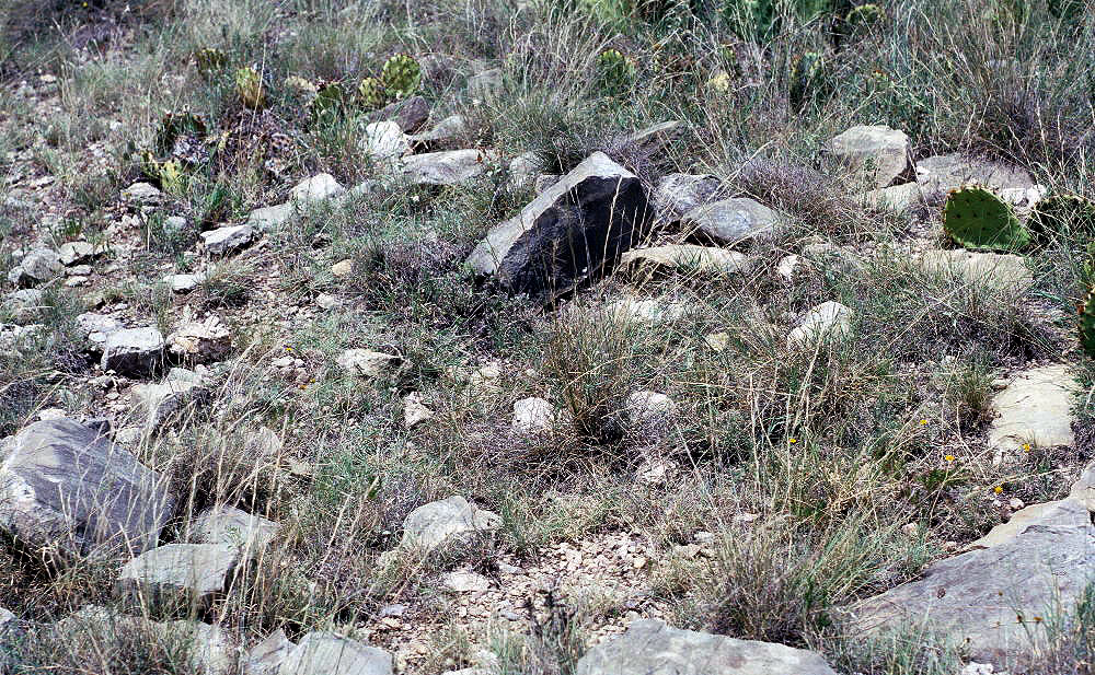 photo of vertical slabs and a circle of stones mark a grave in Coleman county