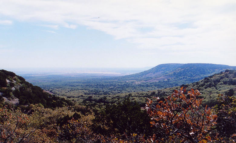 photo of thickly wooded hills typical of Coke County in the eastern portion of the region