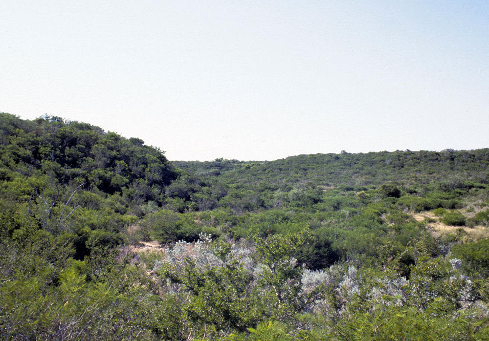 upland canyon