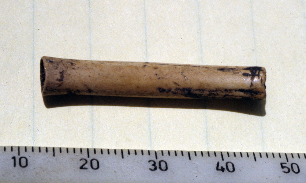 photo of bird bone bead