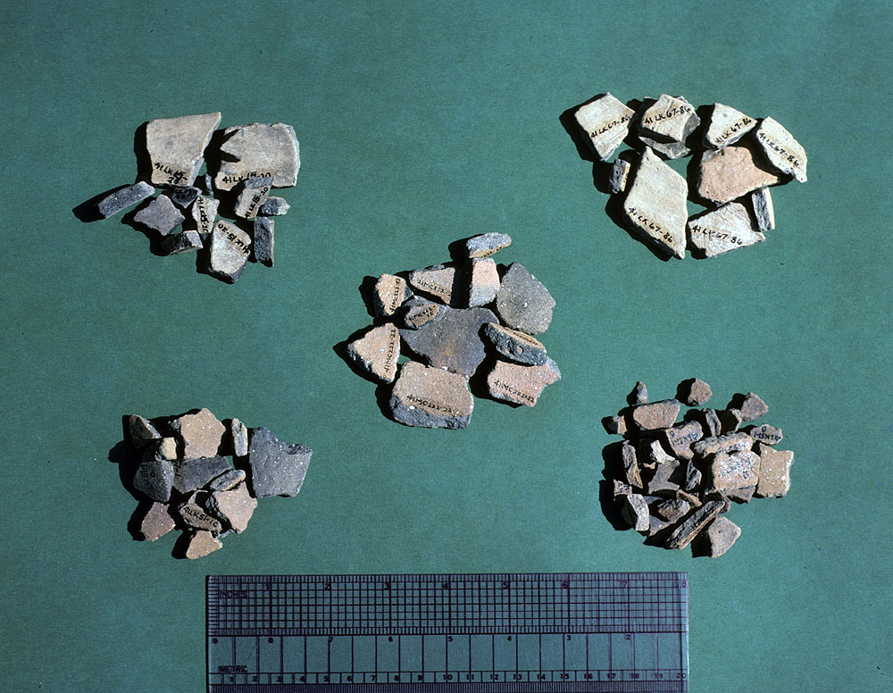 photo of ceramic sherds