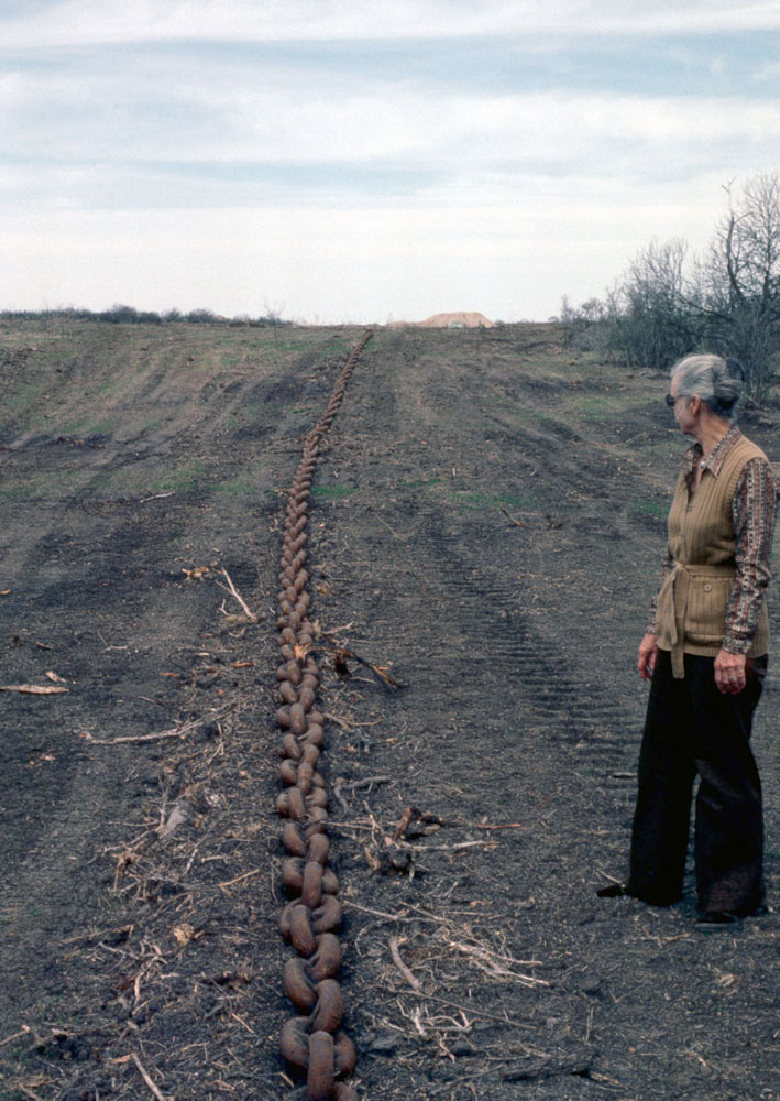 photo of brush clearing