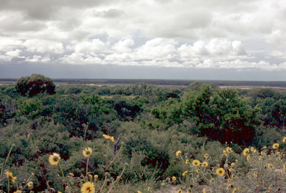 photo of landscape