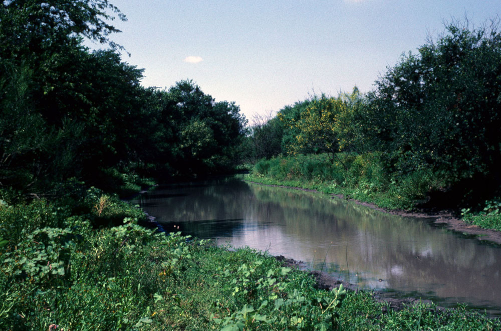 photo of choke canyon slough