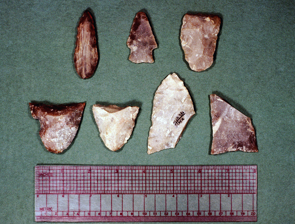 photo of middle archaic diagnostic points