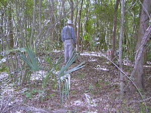 photo of Las Haciendas artifacts as laid out during analysis