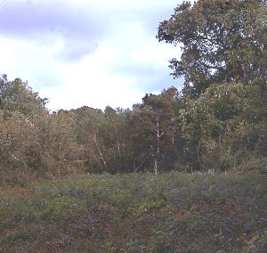 View of terrain in area of El Orcoquisac