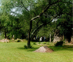 photograph of the site looking east