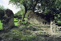 photo of the ruins of Mission Espiritu Santo