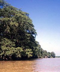 photo of the Rio Grande