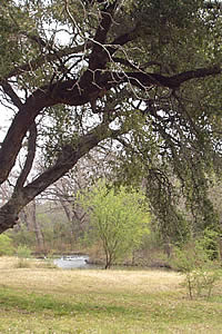 Las Moras creek