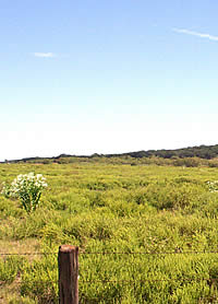 prairie north of the Brazos