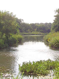 San Saba River