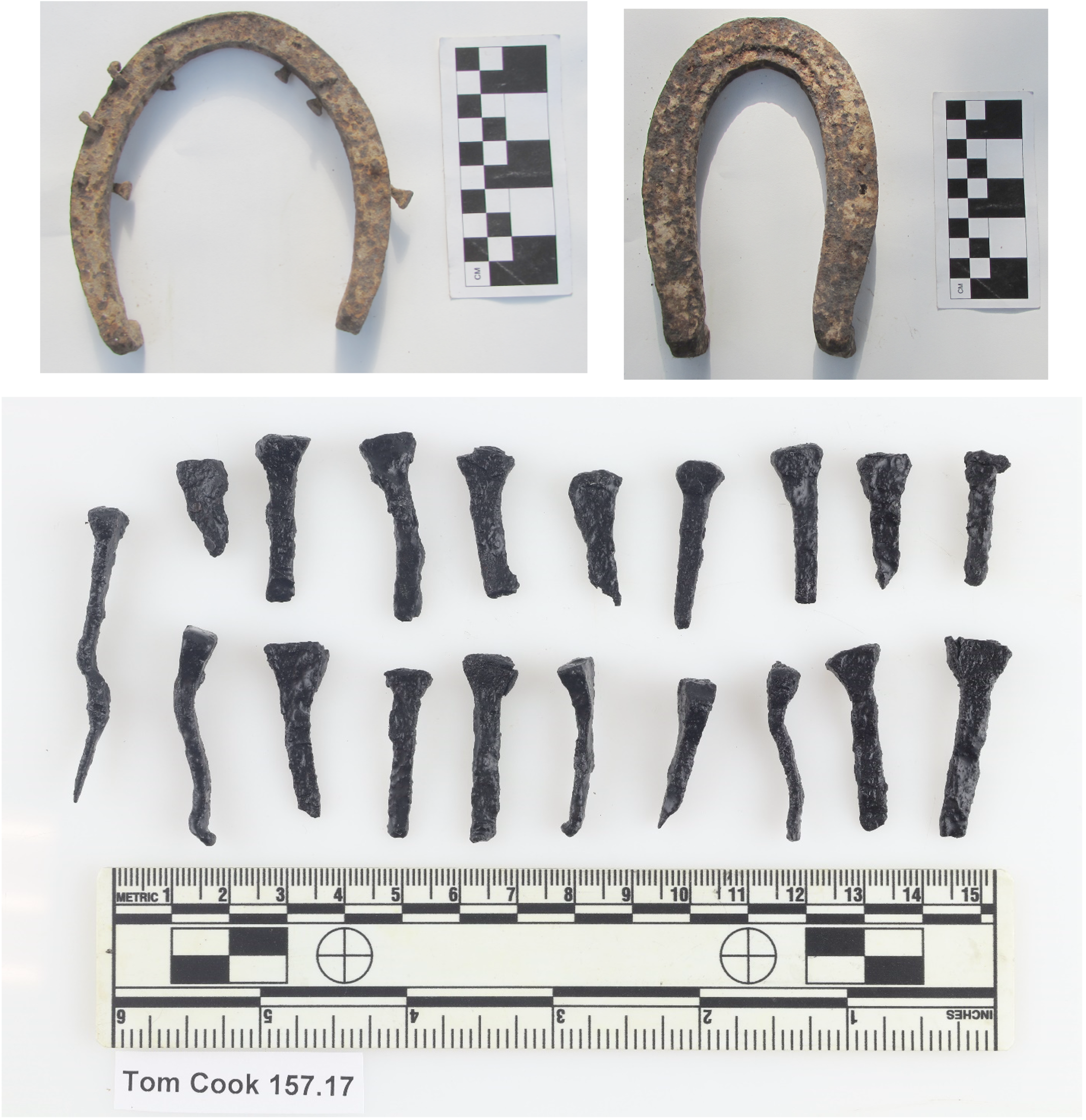 plan photograph of nails and horseshoes on a white background with scale bars