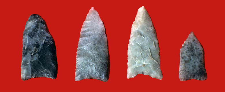 photograph of Guerrero arrow points