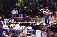 Excavations in progress in Bobcat Area 1. A Bobcat, a small front-end loader was used to clear away the disturbed upper deposits above the Clovis deposits.