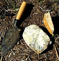 These heavy, wedge-shaped tools appear to have been used as choppers or cleavers, perhaps to dismember large animals. 