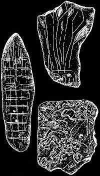 Incised stones. These may be the earliest examples of representational art in North America. Several dozen have now been found including several that seem to depict animals. Drawn by Pam Headrick.