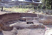 One of several large excavation areas at Gault. The Clovis deposits are in the lighter sediment below the dark band and continue into the upper gravels visible at the right.