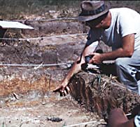 King Harris points to a thick, artifact-free layer of red clay capping one of the middens.