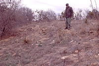 Inspecting an outcropping of granite pegmatite near the site. Photo by Chuck Hixson.