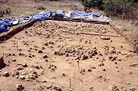 Houses 4 and 5 as exposed in excavation block. House 5 is in foreground, House 4 beyond. Photo by Chuck Hixson.