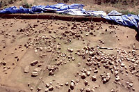 Dense pile of quartz stones (left) found next to House 4. Center hearth is on right. Photo by Chuck Hickson.