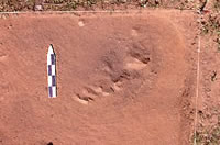 Charcoal stain noticed in sediments overlying the hearth during excavations. Photo by Chuck Hixson.