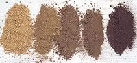 Soil samples from midden area, showing light-colored, unstained soil from outside midden (left) and darker, increasingly carbon-stained samples taken from within midden and central pit. Photo by Gene Schaffner.