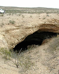 photo of Caldwell Shelter