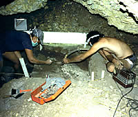 photoof crew using a vacuum cleaner