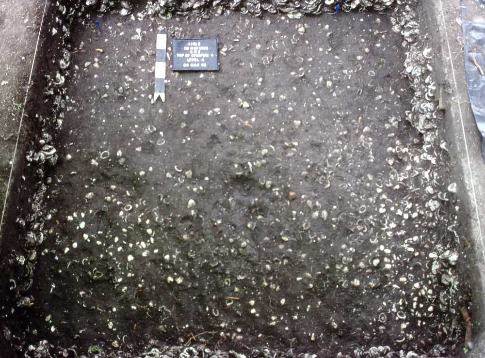 Image of Top of Stratum 4.