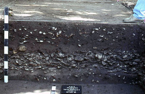 Image of North wall of N74,W122.